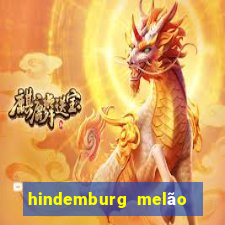 hindemburg melão jr fortuna